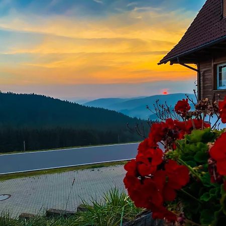 Pension Forsthaus Taele - Das Gaestehaus Vom Schwarzwaldgasthaus Salenhof Titisee-Neustadt Εξωτερικό φωτογραφία