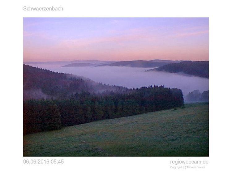 Pension Forsthaus Taele - Das Gaestehaus Vom Schwarzwaldgasthaus Salenhof Titisee-Neustadt Εξωτερικό φωτογραφία