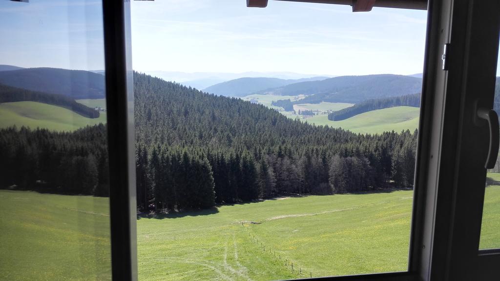 Pension Forsthaus Taele - Das Gaestehaus Vom Schwarzwaldgasthaus Salenhof Titisee-Neustadt Εξωτερικό φωτογραφία
