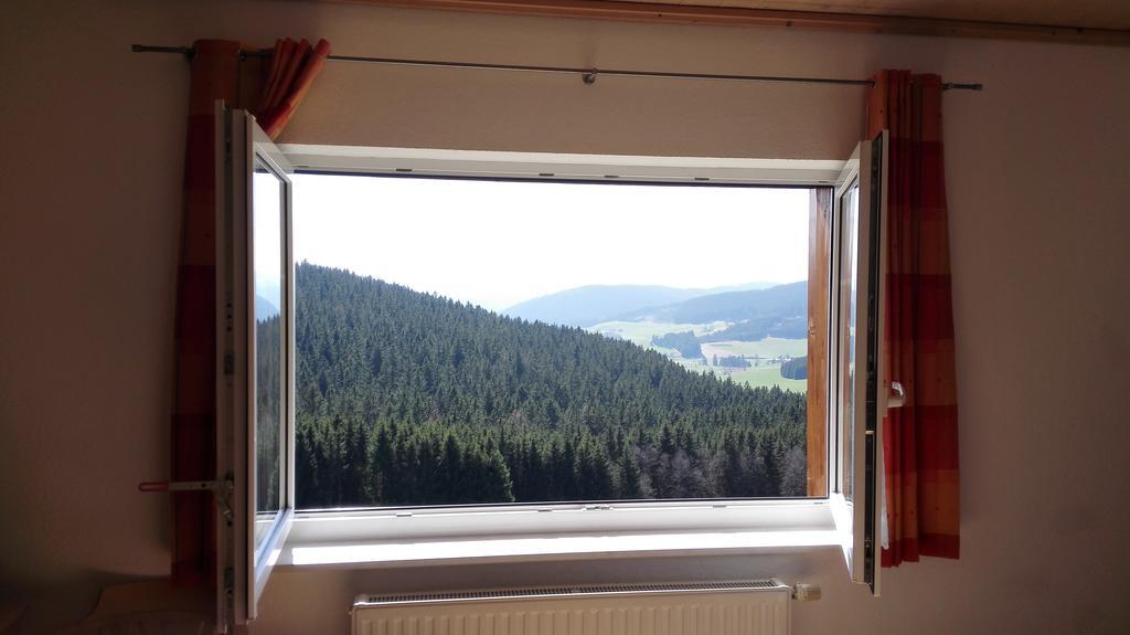 Pension Forsthaus Taele - Das Gaestehaus Vom Schwarzwaldgasthaus Salenhof Titisee-Neustadt Εξωτερικό φωτογραφία
