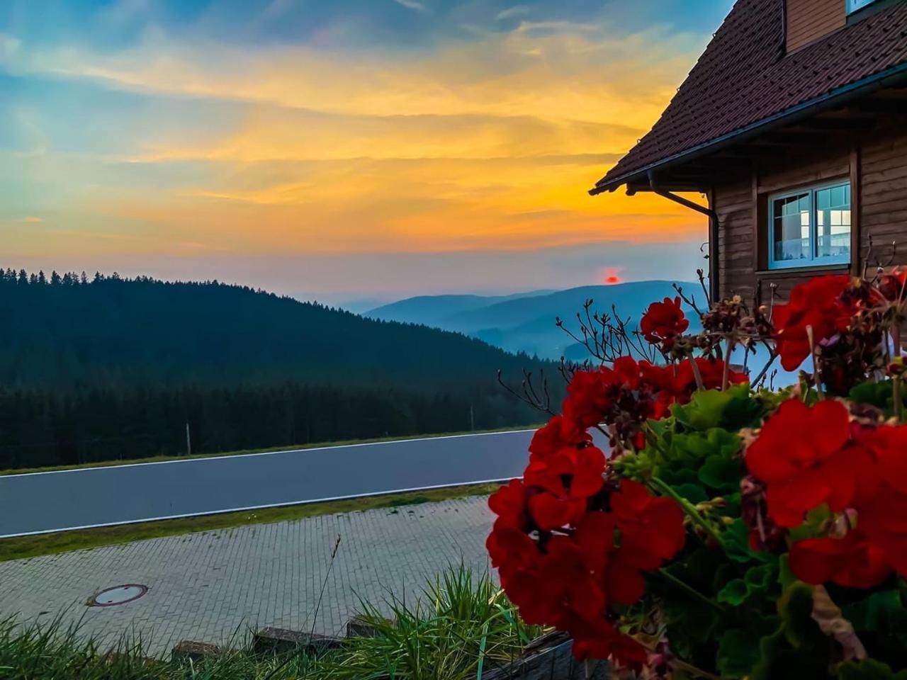 Pension Forsthaus Taele - Das Gaestehaus Vom Schwarzwaldgasthaus Salenhof Titisee-Neustadt Εξωτερικό φωτογραφία